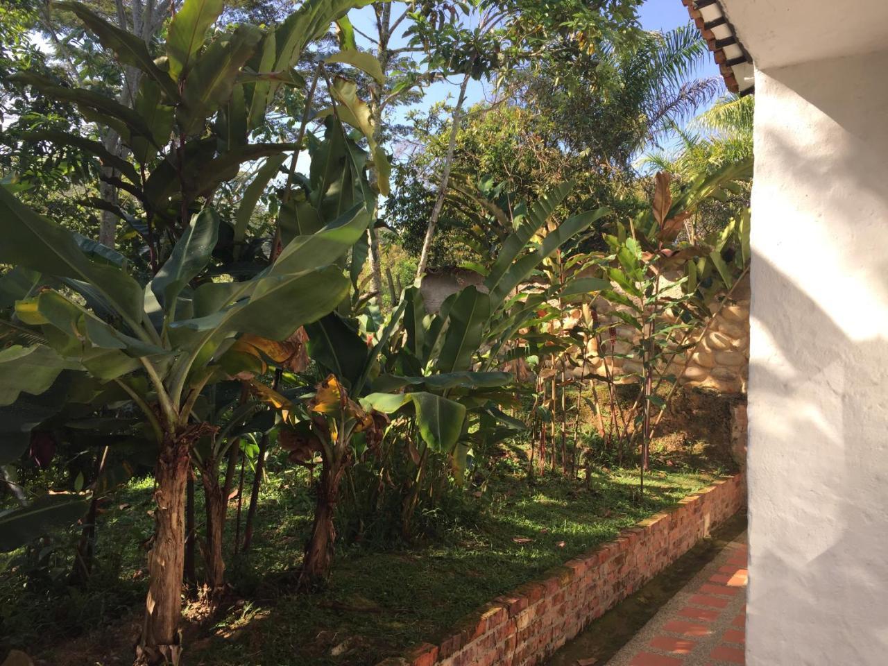 Hotel Casona Las Juanas San José de Pare Exterior foto